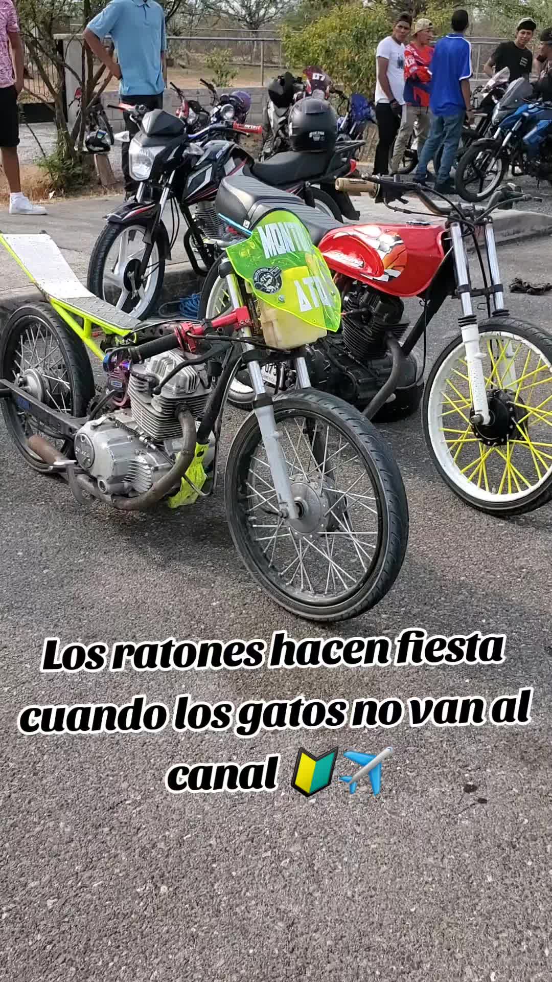 @ℱ𝓊𝓃ℯ𝓏 🔰🙏