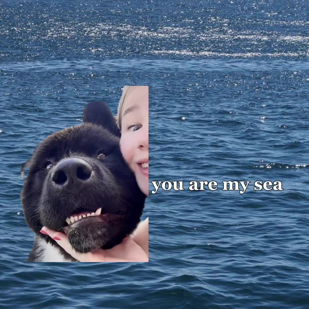 @Royce