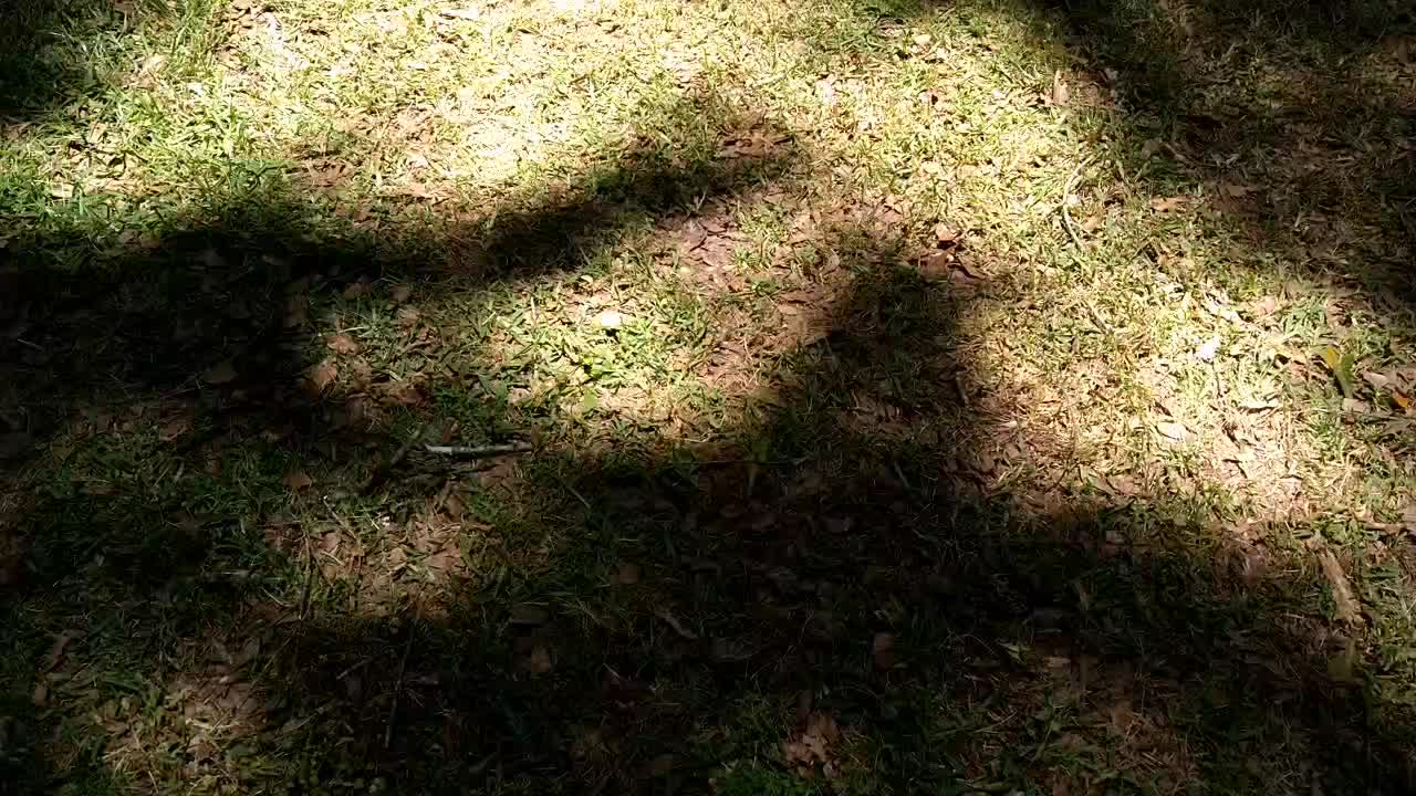 @user889828329677