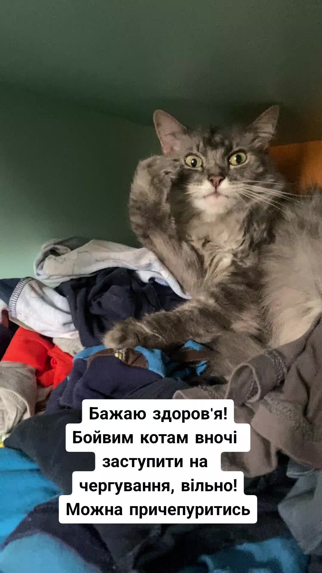 @timka.kit