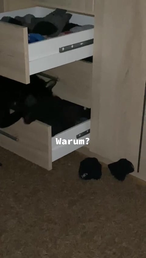 @ali.tahmaz