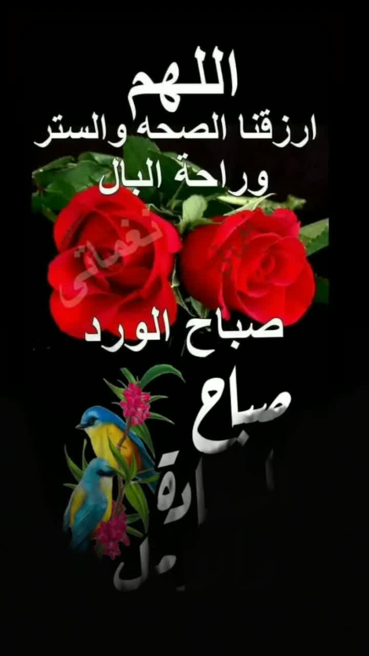 @آلَمًشُرفُهّ آمً آلَنِوٌر🇮🇶