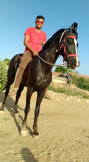 @s.h.sumra786