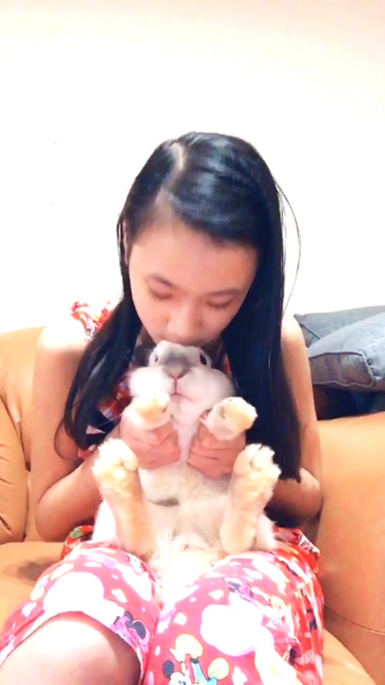 @🐰❤️