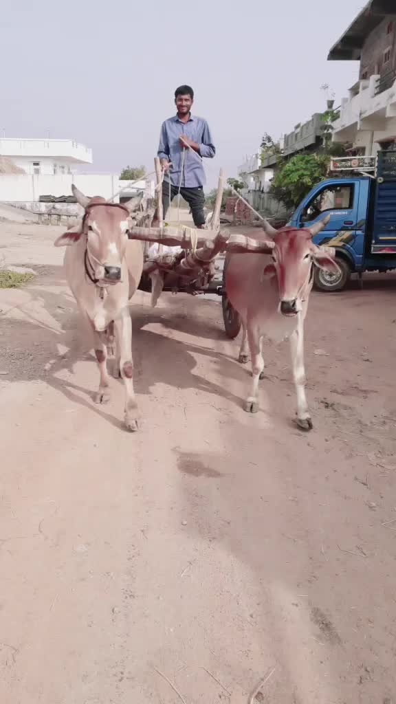 @laxman velmala