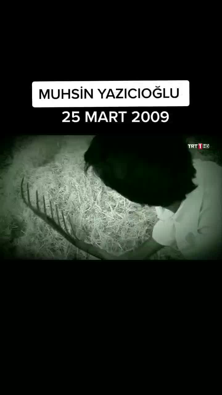@Mehmet PAYZA