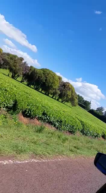 @Uncle Wa Safari