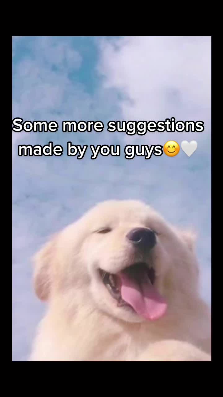 @Cute pet names