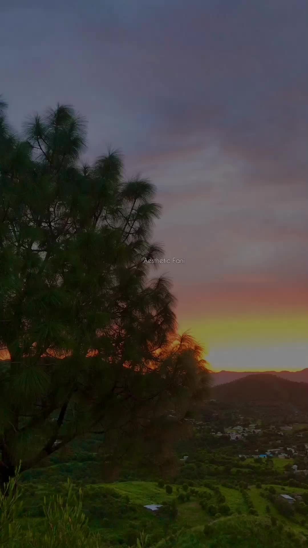 @𝟹𝚊𝚖_𝚝𝚑𝚘𝚞𝚐𝚑𝚝𝚜