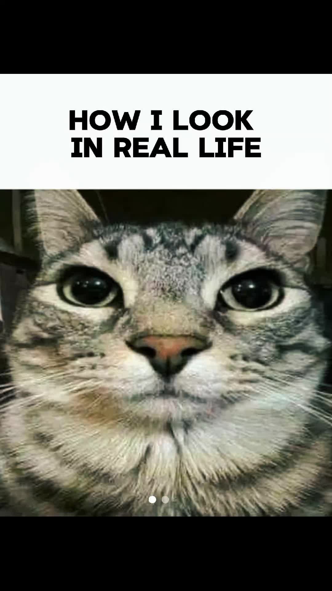 @Maksimka