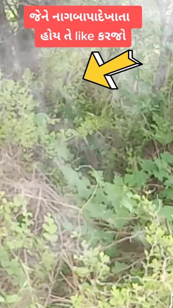 @khodal_છોરુ...