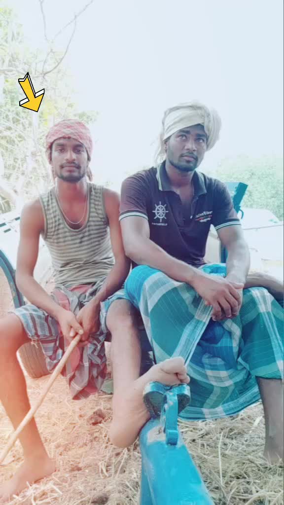 @user38438186482