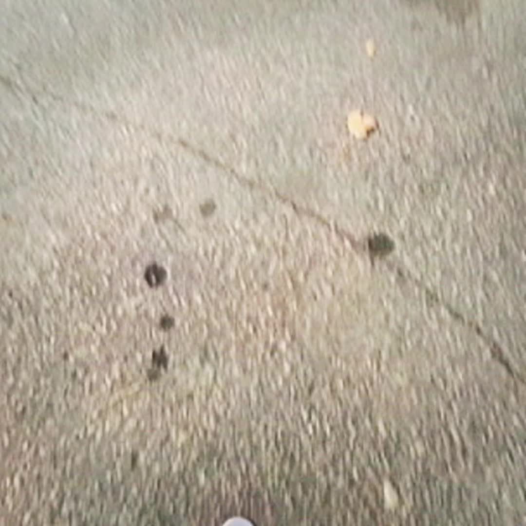 @iluvr0ll3r