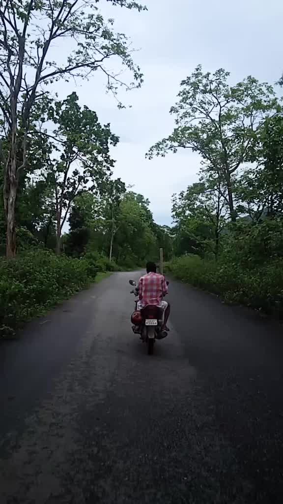 @user82246249802