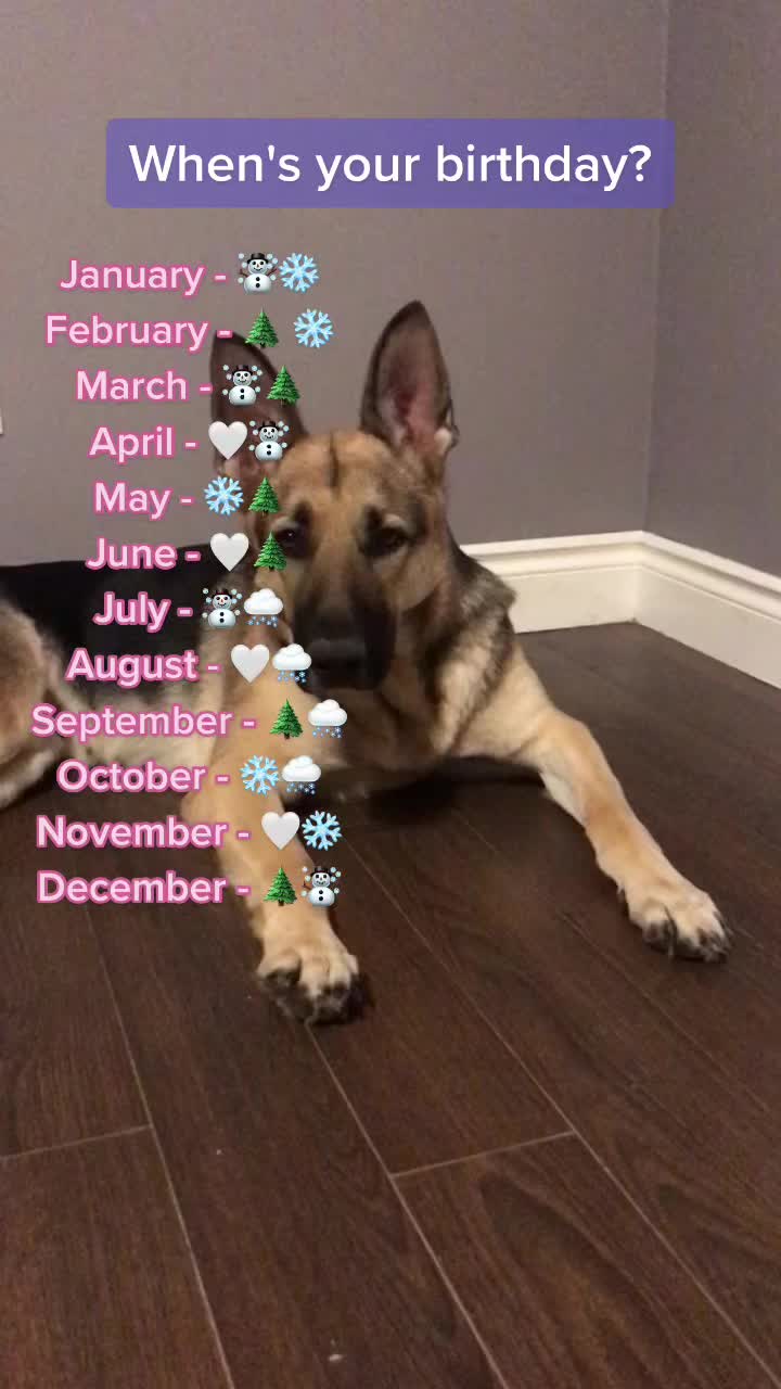 @🐶 Lily 🐶