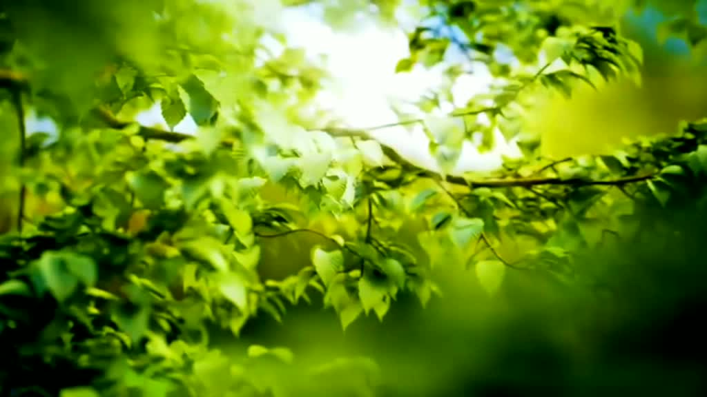 @amitkumar40071