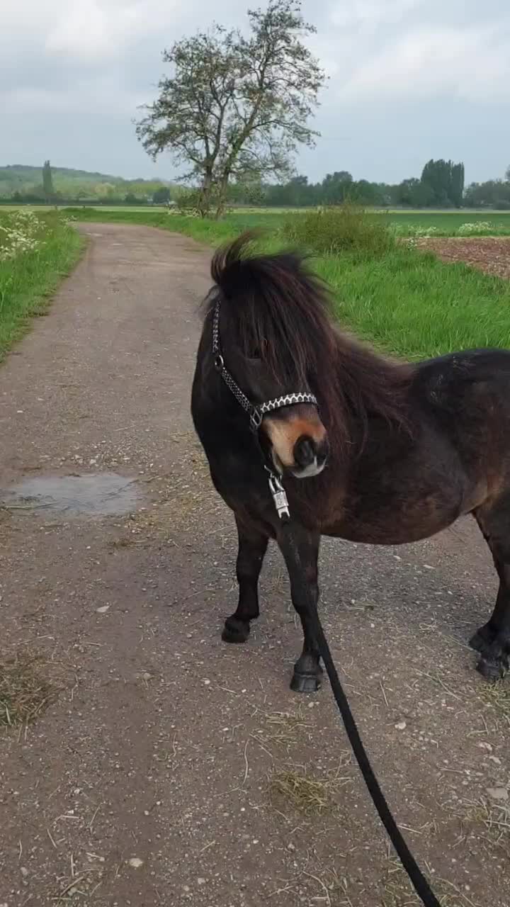 @eventingridersx
