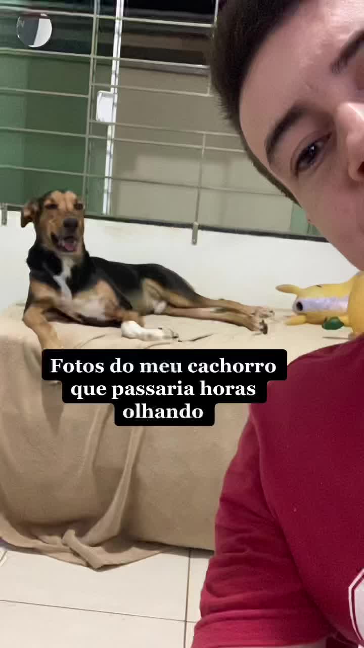 @Bernardo berg