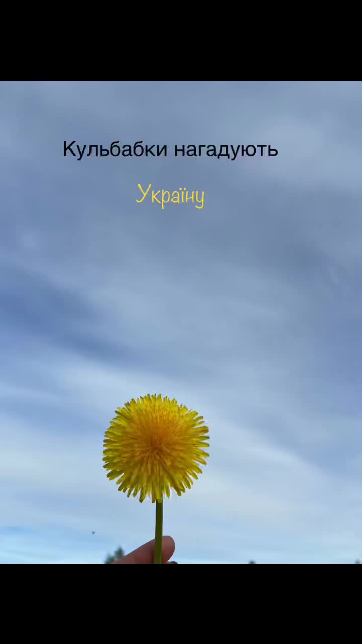@V-Л