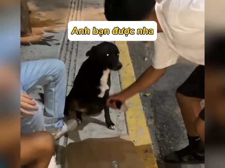 @clapclap