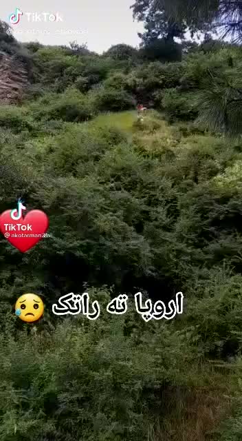 @Šhãfî Zãdrãñ😘❤️🥀🥀