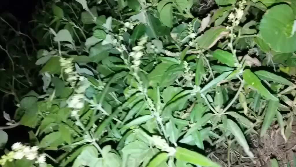 @Biswaranjan 2020