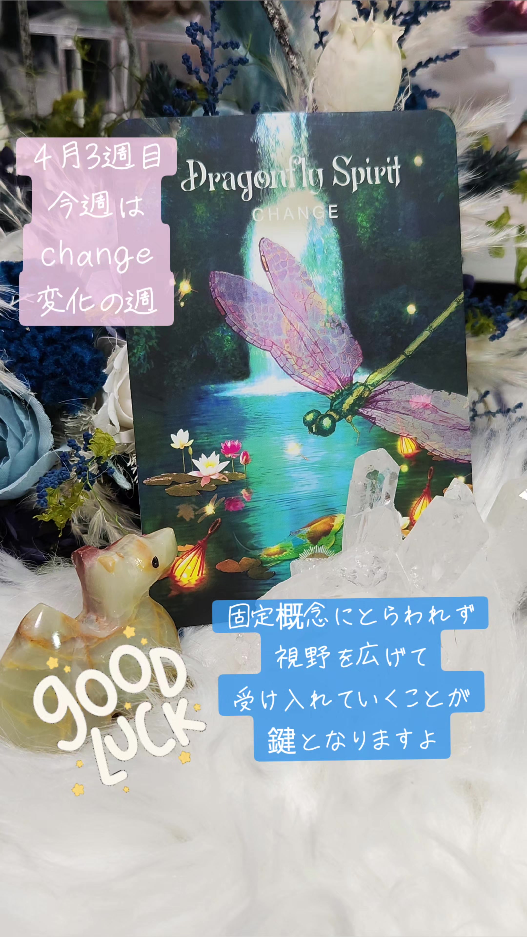 @吉村さつき🪻天然石コンシェルジュ💍Lupino🪻