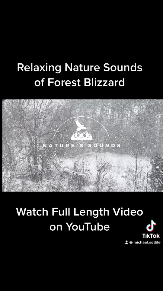 @Nature&rsquo;s Sounds