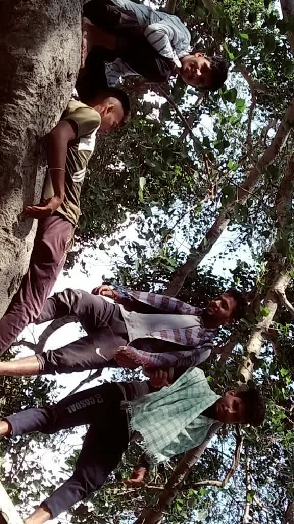 @Prince Ramola