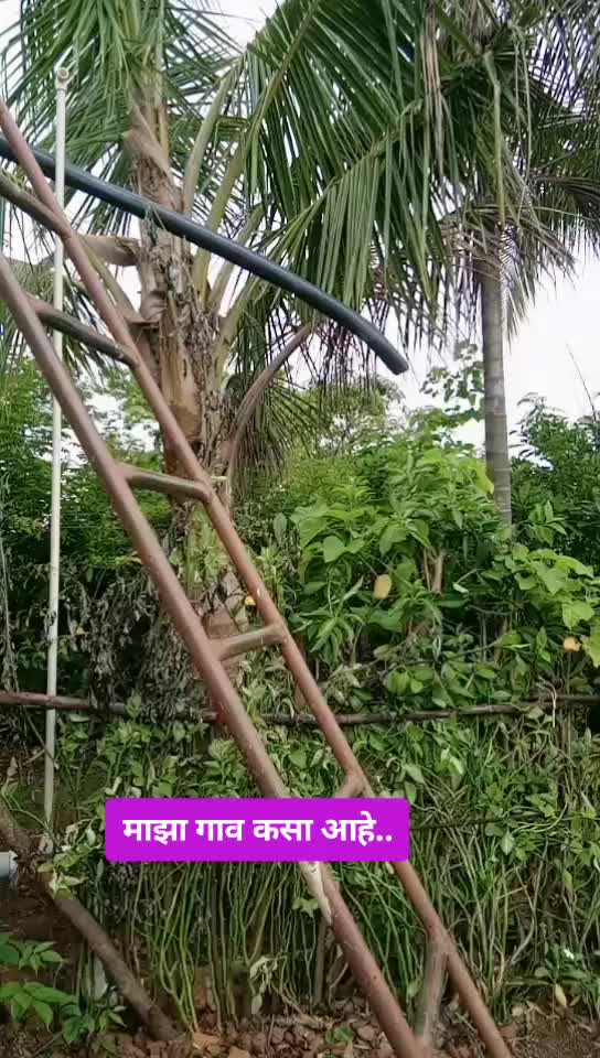 @supriya ghanekar