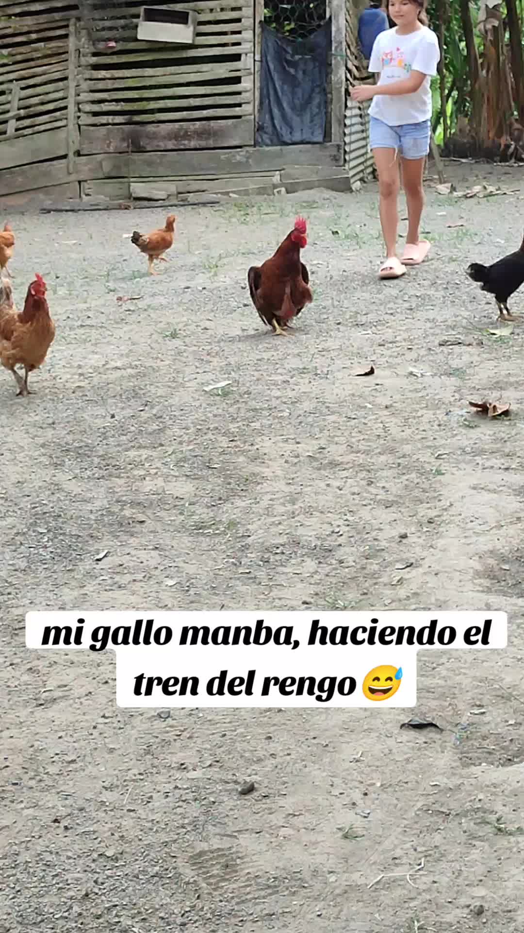 @Alondra