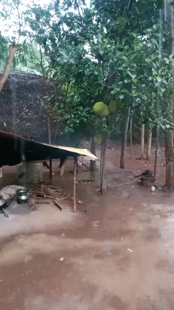 @Radhakrishnan