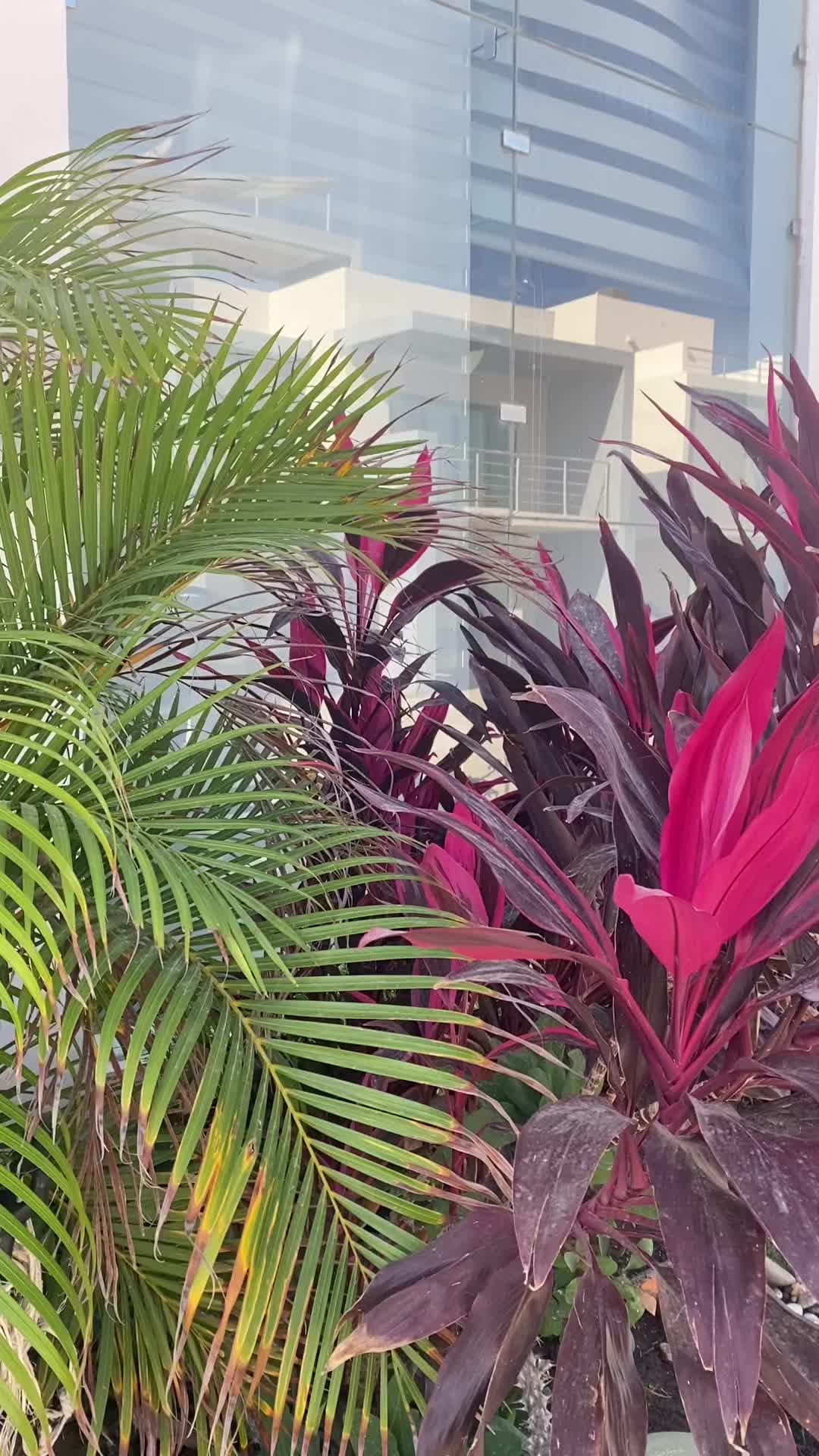 @Mazatl&aacute;n Homes