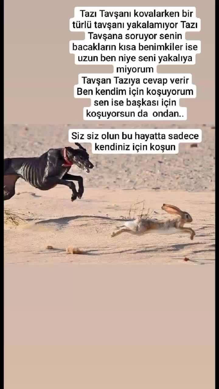 @Reşat Fatoş Bilgi