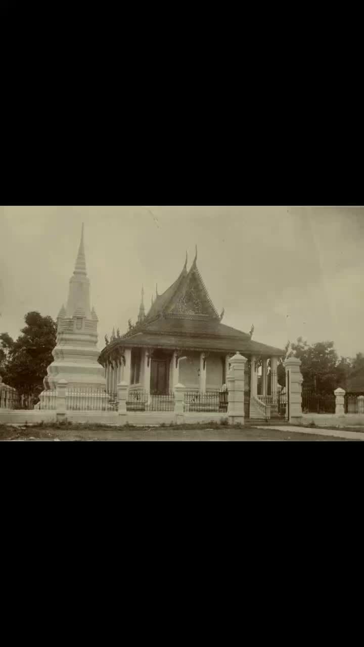 @dylp8jm9g56v