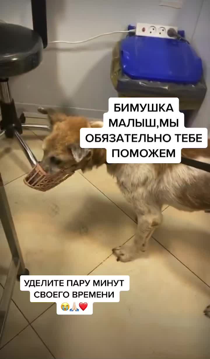 @Елена Белова
