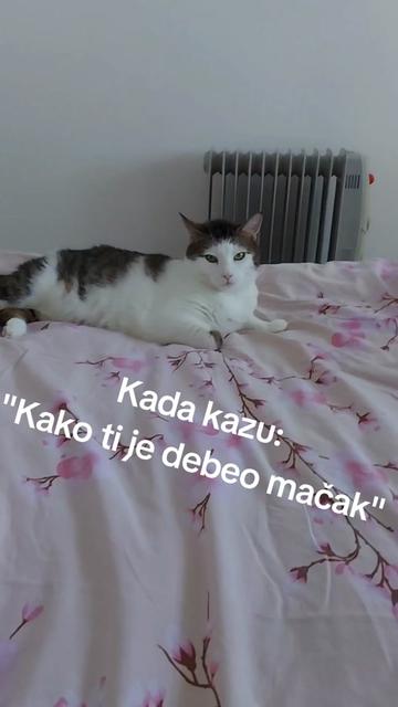 @Bekismeki