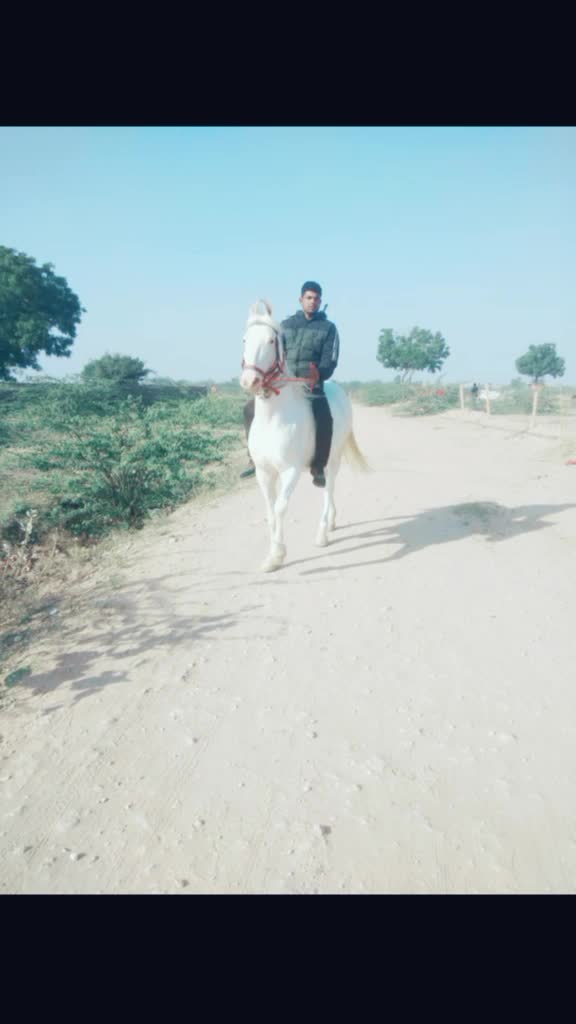 @Rahul Soni
