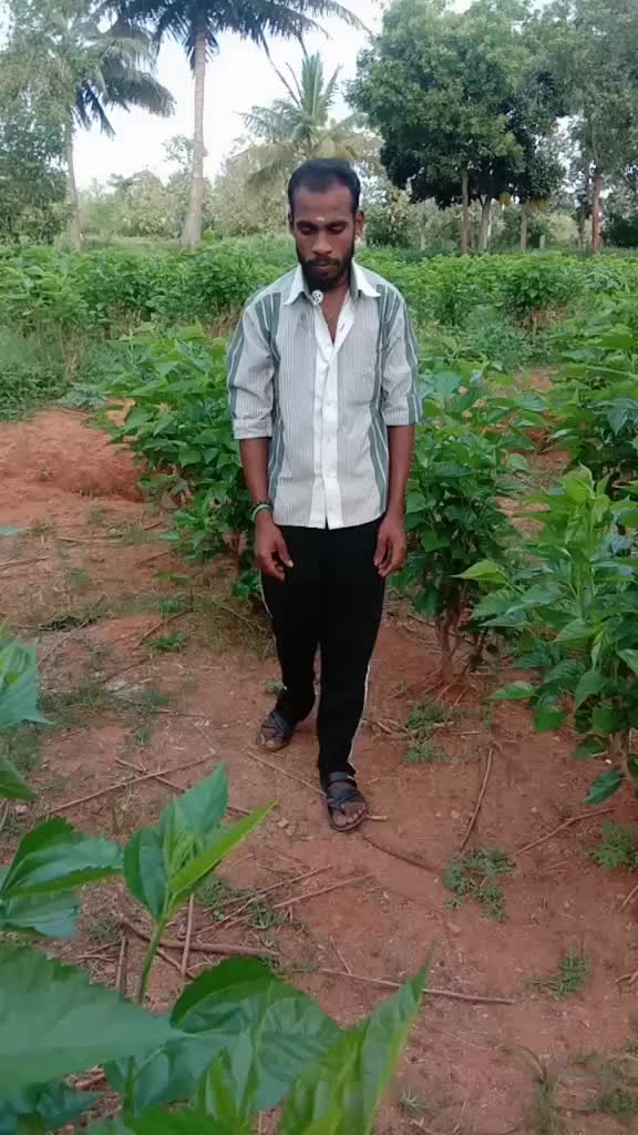 @shivu basava