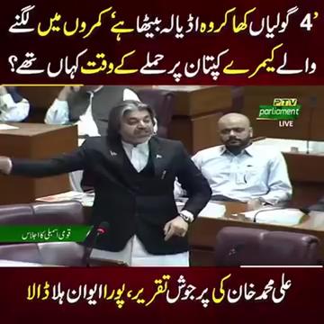 @Pti Tigers