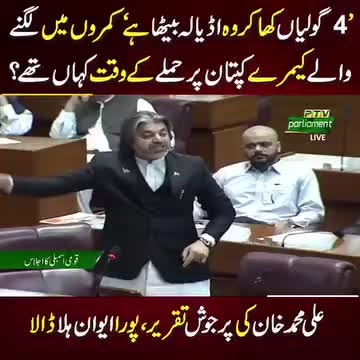 @Pti Tigers