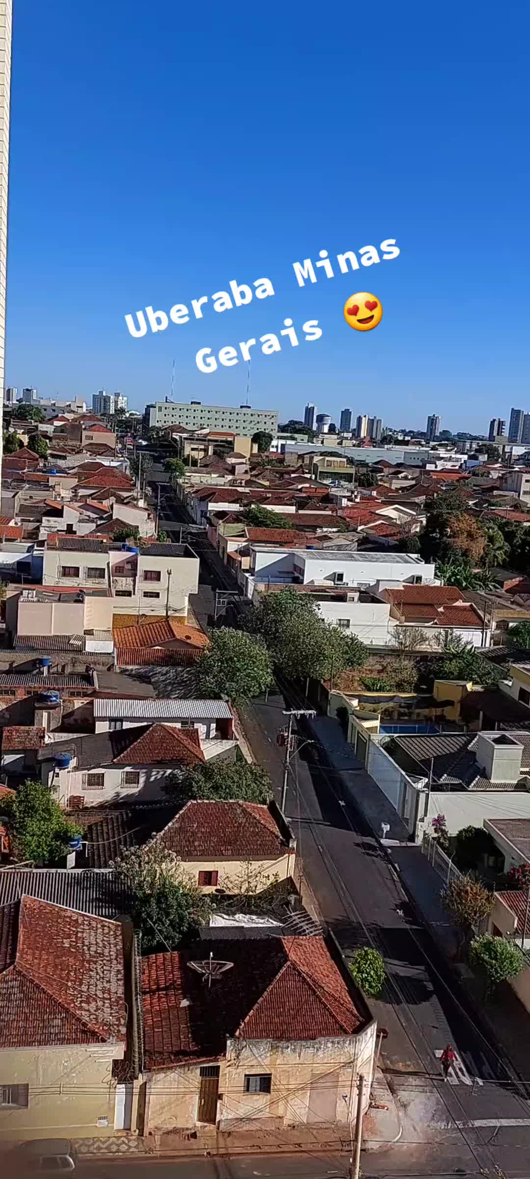 @aparecidamachado303