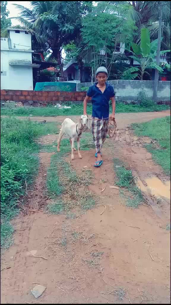 @d_r_eam__traveller__