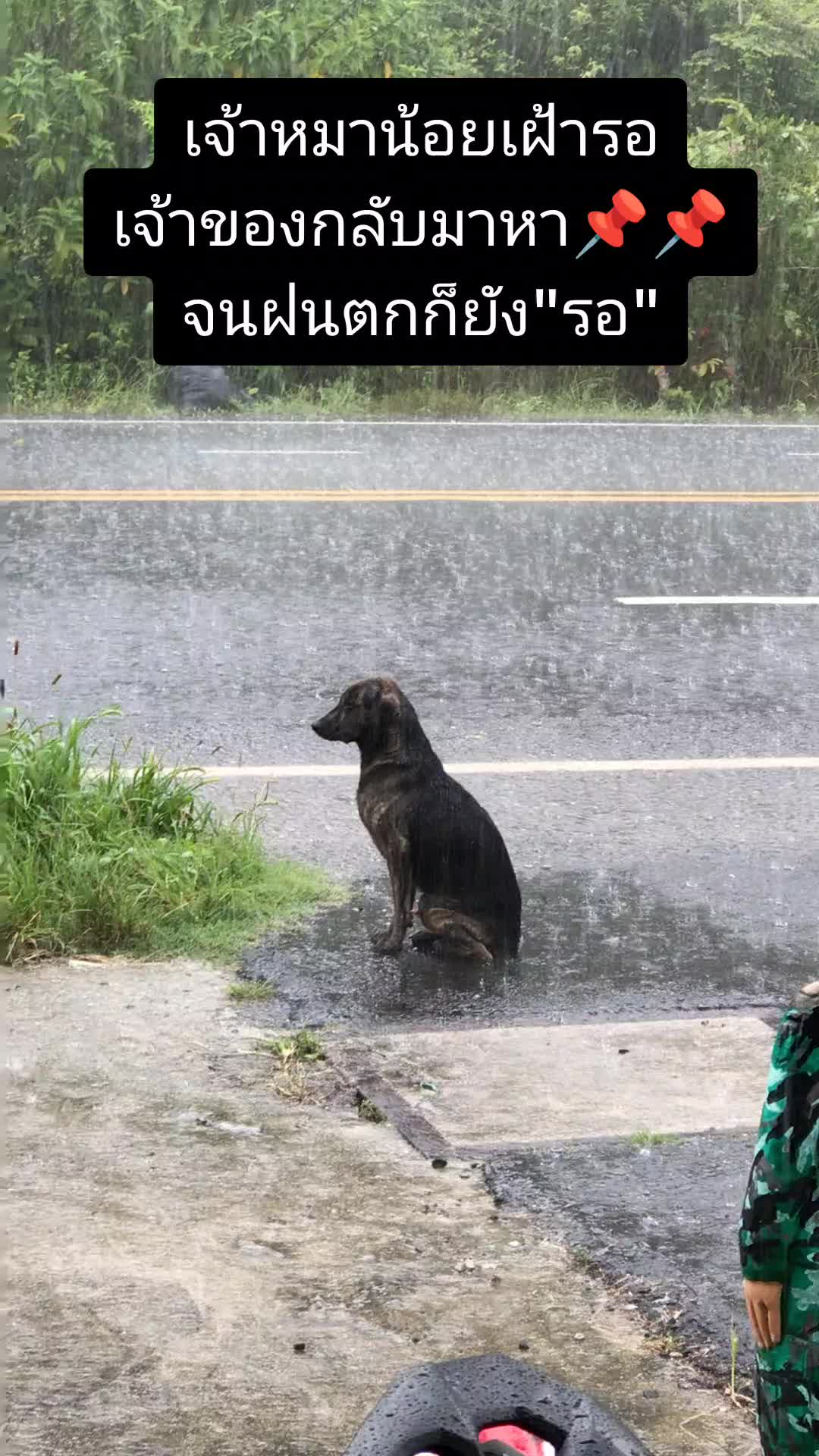 @ฮูเปีย บางกระดี่