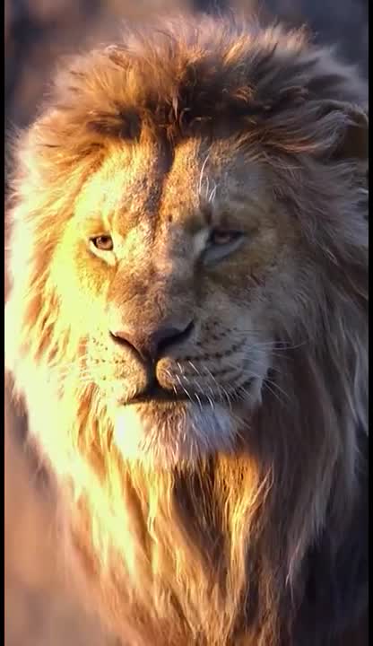 @@Mãñjû