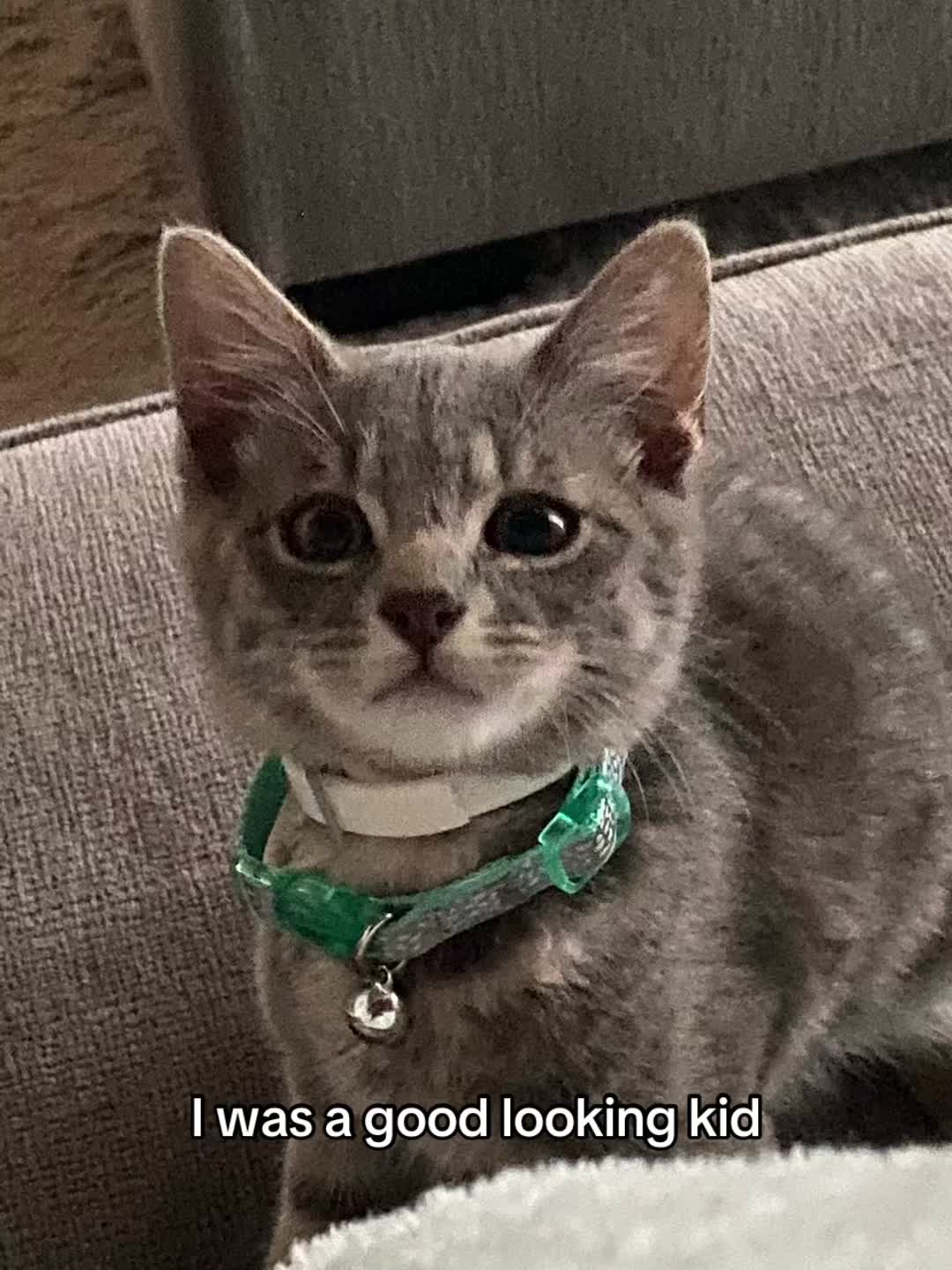 @jessicavoss430