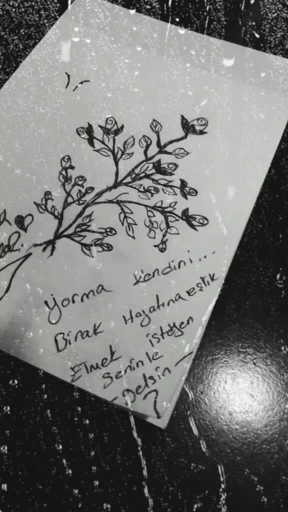 @kitap_kokusu
