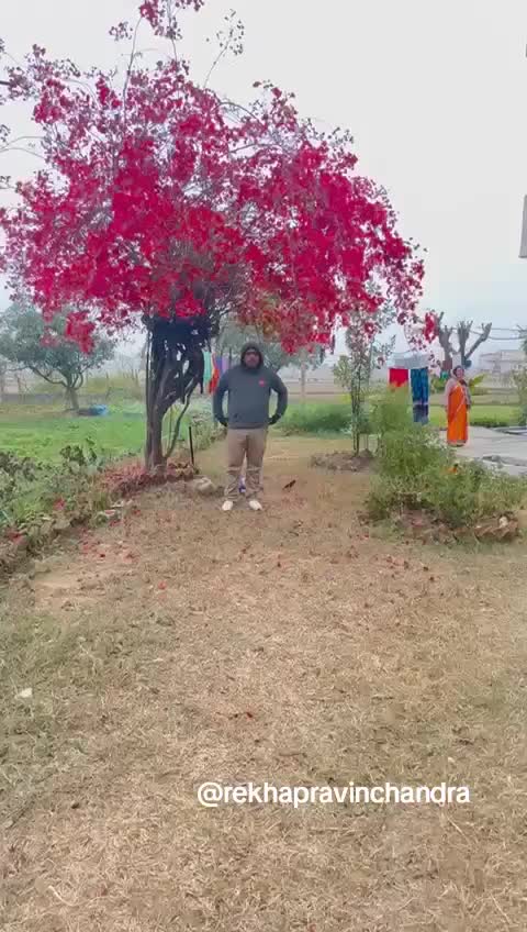 @krishna dhungana