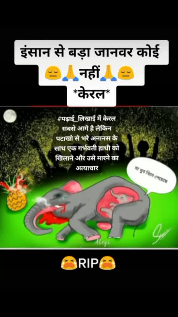 @Rajput Bohra