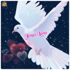 @user3355557615862